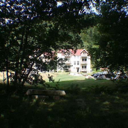 Residence Du Chateau Lublin La Bresse Zewnętrze zdjęcie